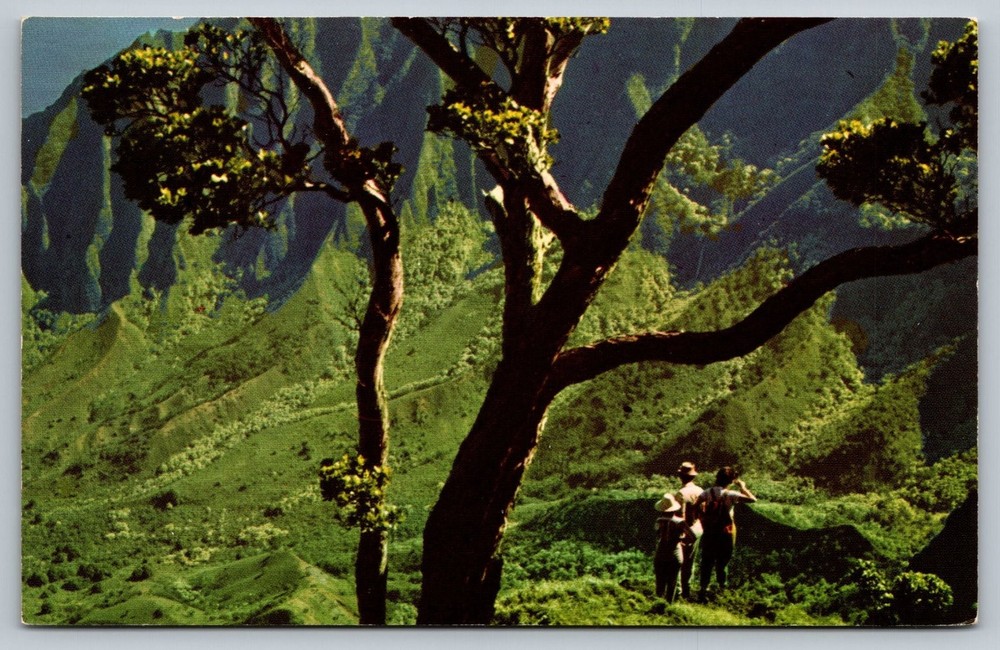 Vintage Postcard Kalalau Valley Na Pali Coast Kauai Hawaii 3D Color