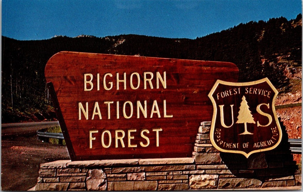 Dr Jim Stamps Big Horn National Forest Sign Photo Postcard