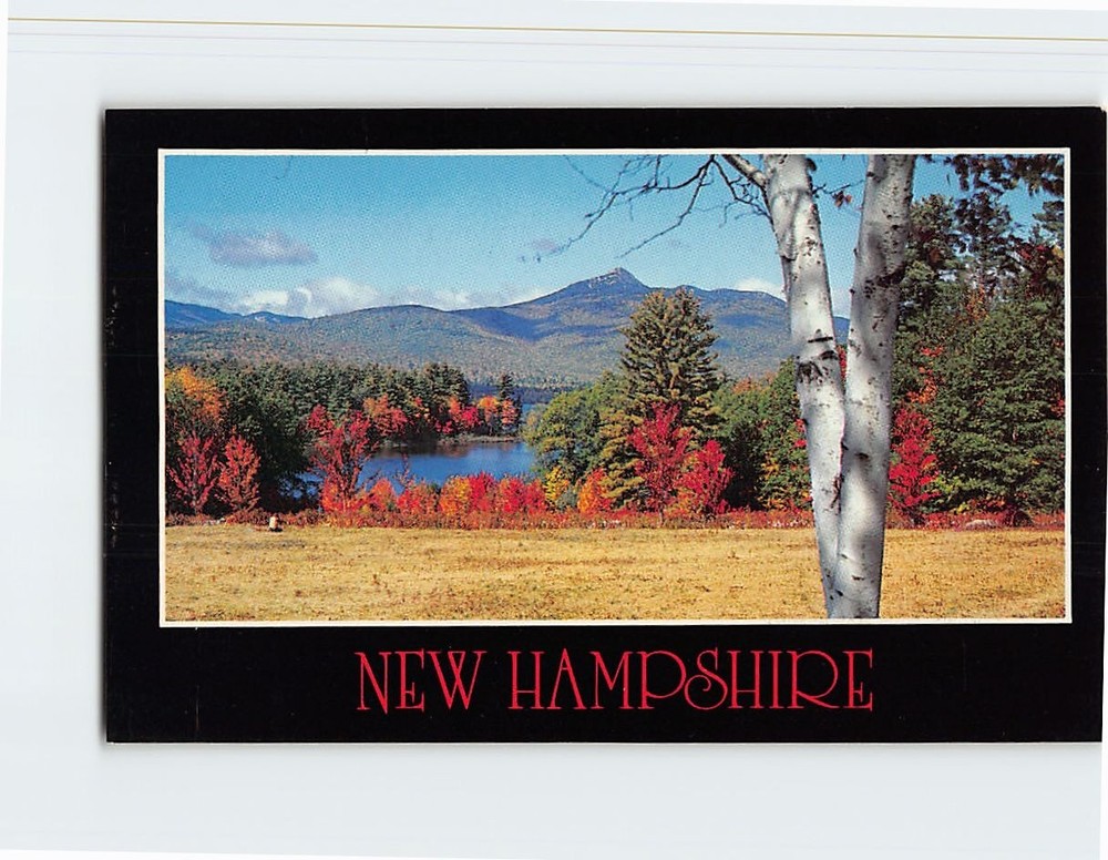Postcard Lovely Lake & Mt. Chocorua Albany New Hampshire USA