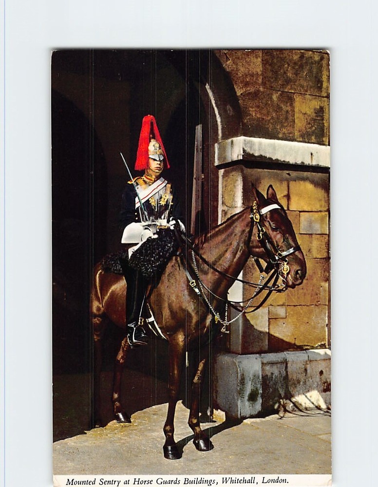 Postcard Mounted Sentry at Horse Guards Buildings Whitehall London England