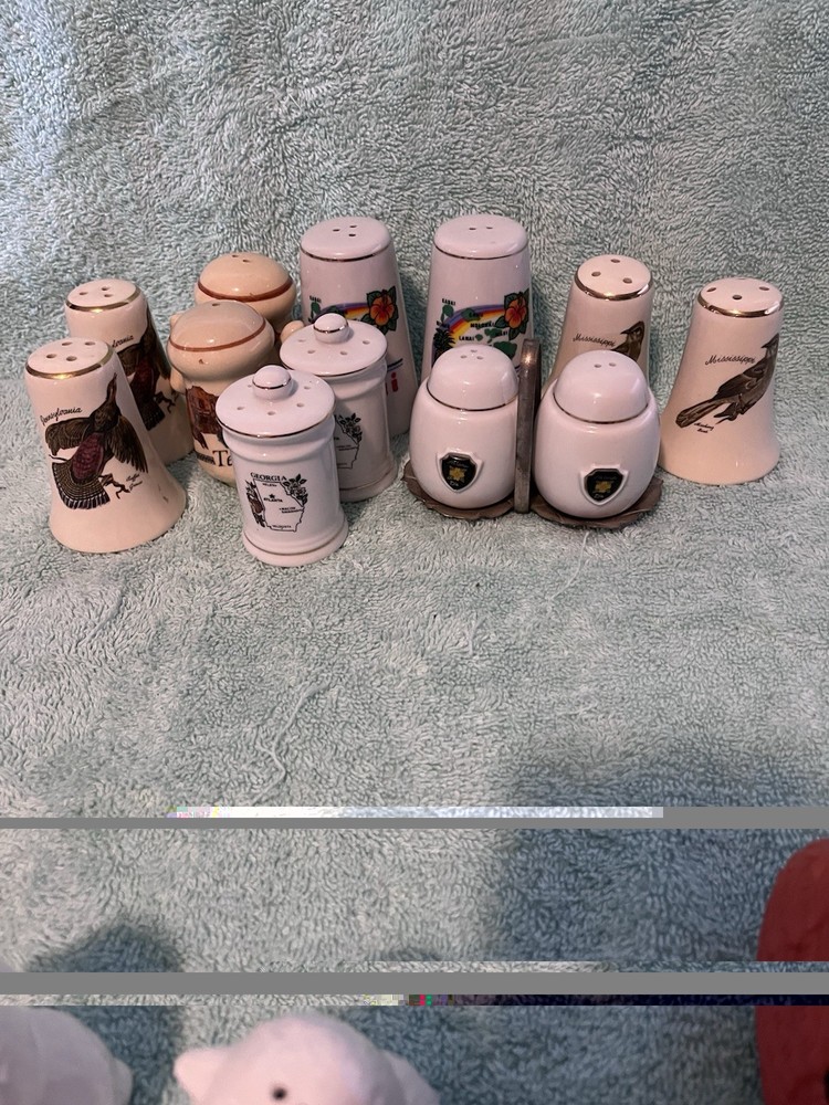 Collection Of Various States Salt And Pepper Shakers Souvenirs