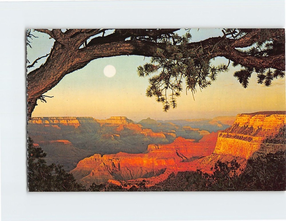 Postcard Grand Canyon National Park Arizona USA