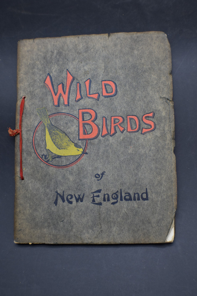 1912 *FIRST* Wild Birds of New England by Chester Reed *COLOR*