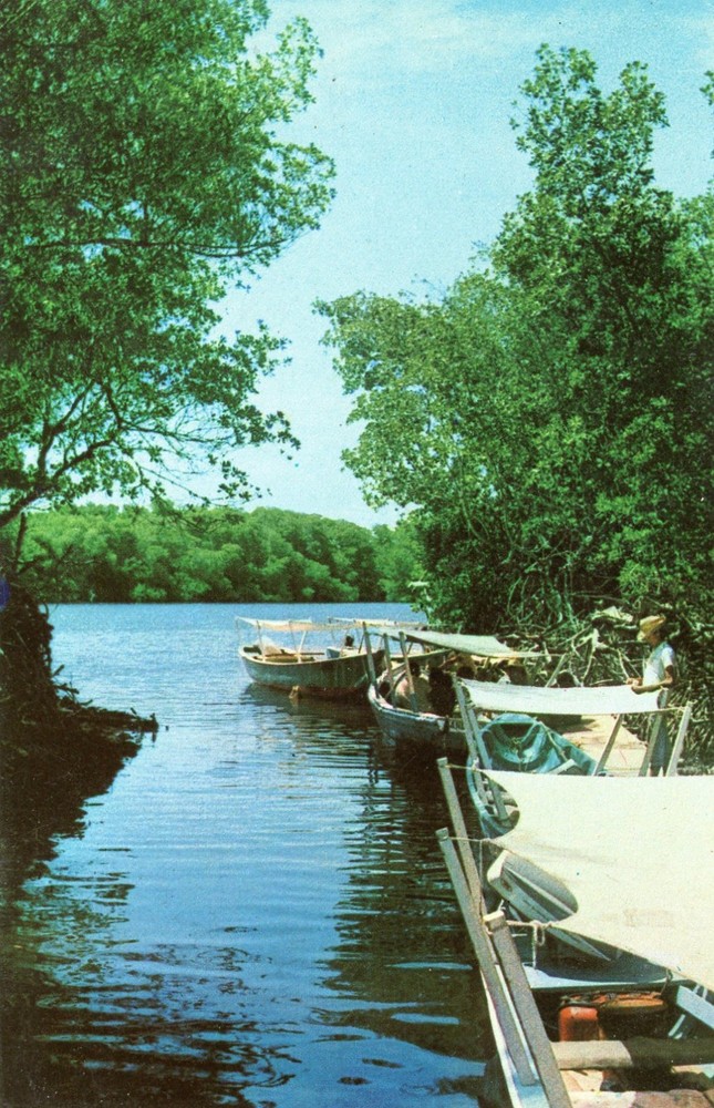 La Restinga, Isla de Margarita, Venezuela, UNP, VG --POSTCARD