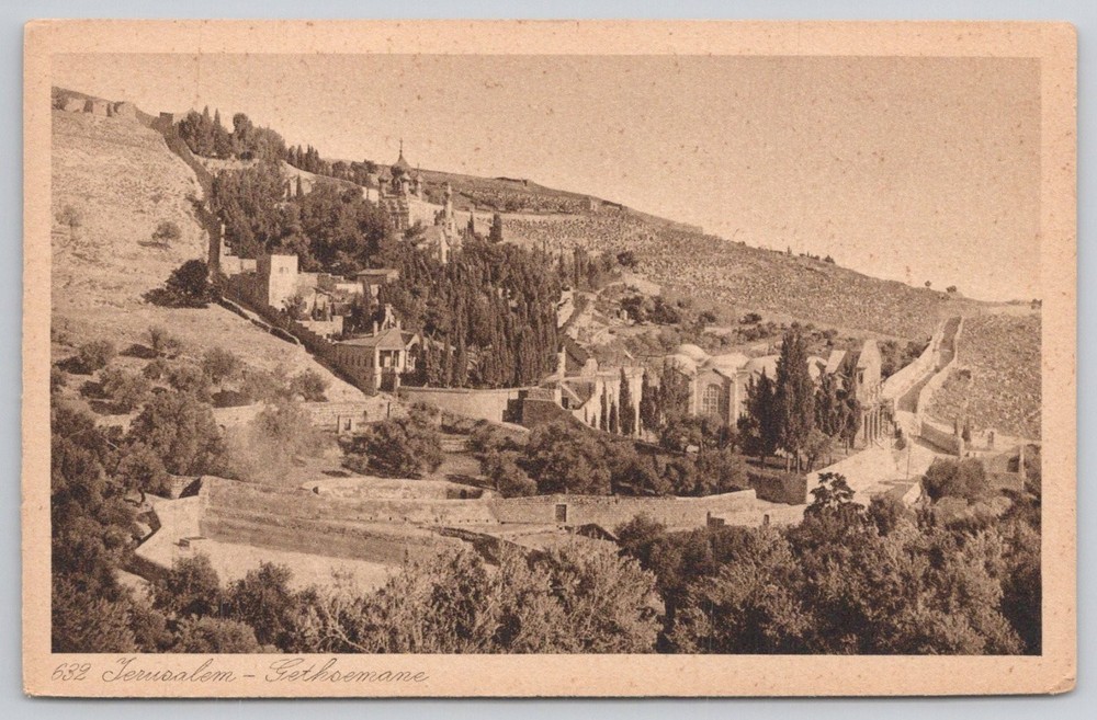 Jerusalem Gethsemane Mount Olives Lehnert & Landrock Postcard c1910s