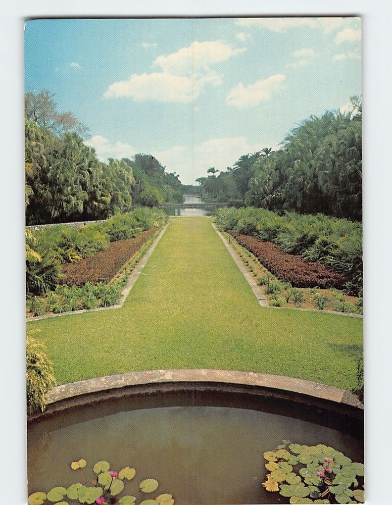 Postcard Long Vista Bailey Palm Glade Fairchild Tropical Garden Miami Florida