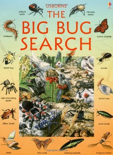 The Big Bug Search (Usborne Great S..., Young, Caroline