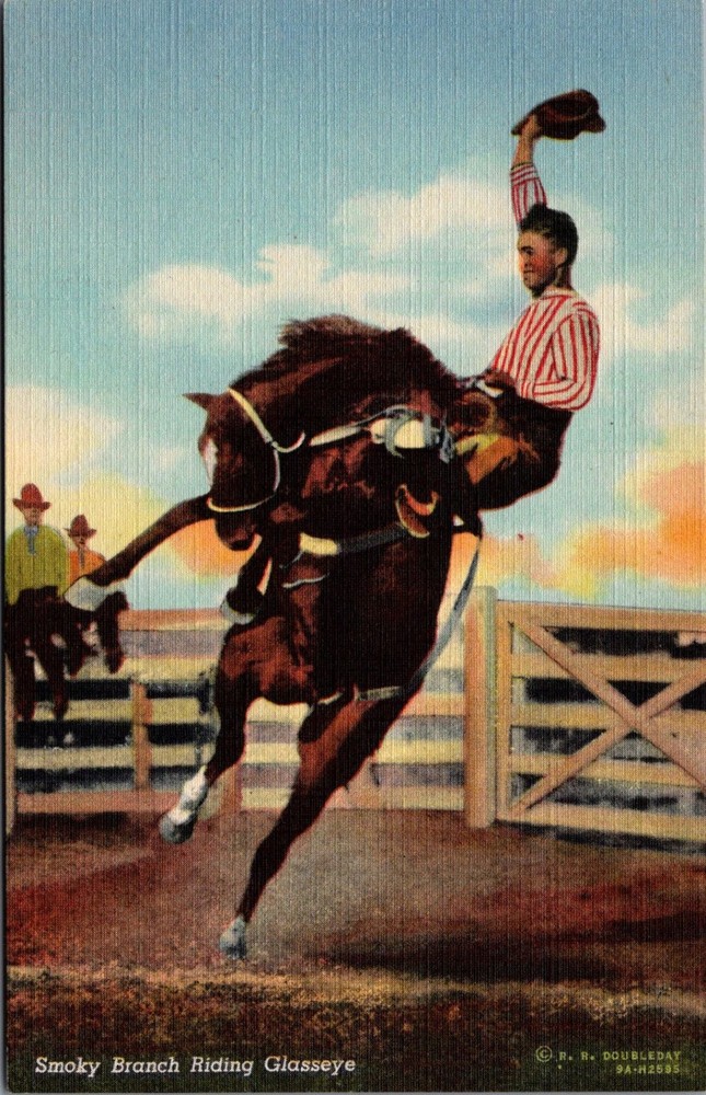 Smoky Branch Riding Glasseye Rodeo Cowboy Horse Art-Colortone Postcard