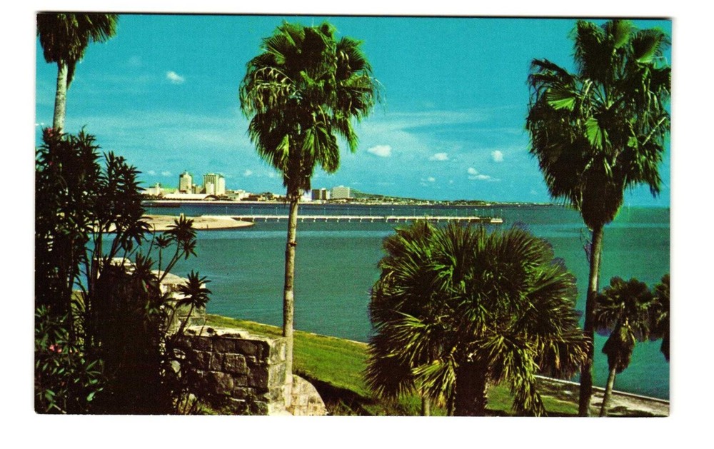 Corpus Christi TX vintage postcard unposted