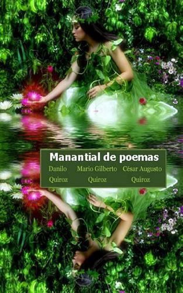 Manantial de poemas by Danilo Antonio Quiroz (Spanish) Paperback Book