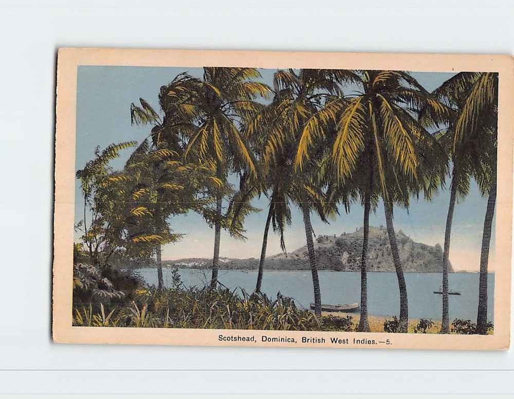 Postcard Scotshead Dominca