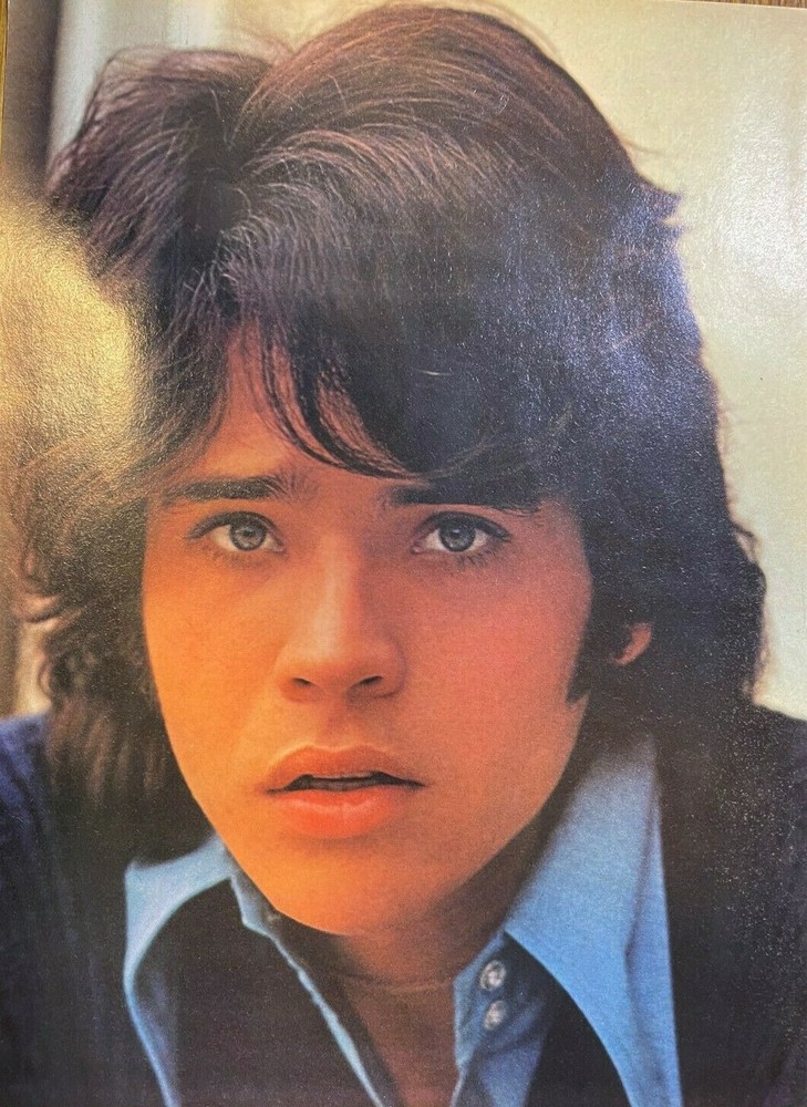 1971 Vintage Magazine Illustration Actor Michael Gray