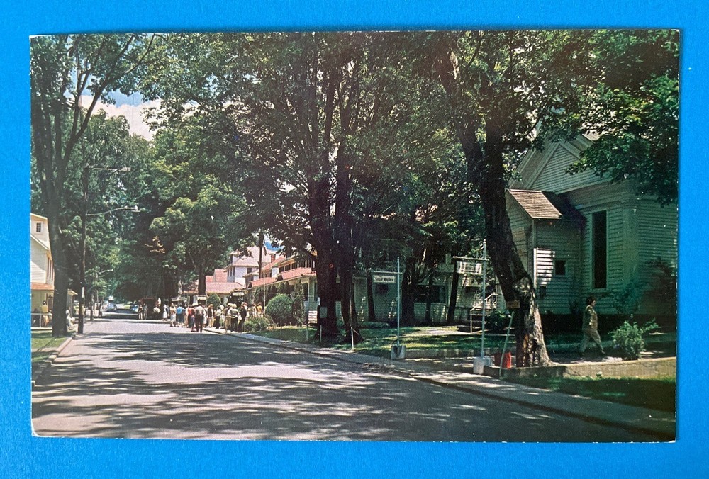 MAPLECREST New York NY Vintage Postcard Main Street Residential Scene c1960s