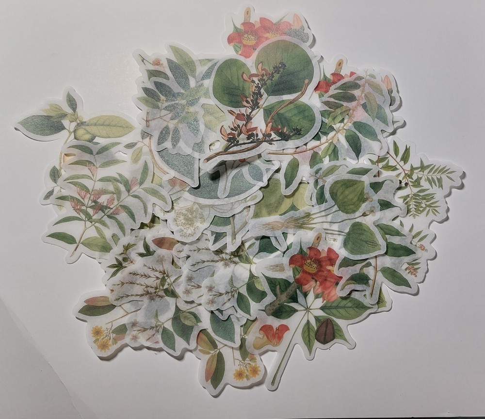 Botanical Leaf/Branch Washi Stickers Lot