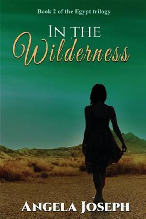 In The Wilderness: Book 2 of the Egypt trilogy, Like New Used, Free shipping ...