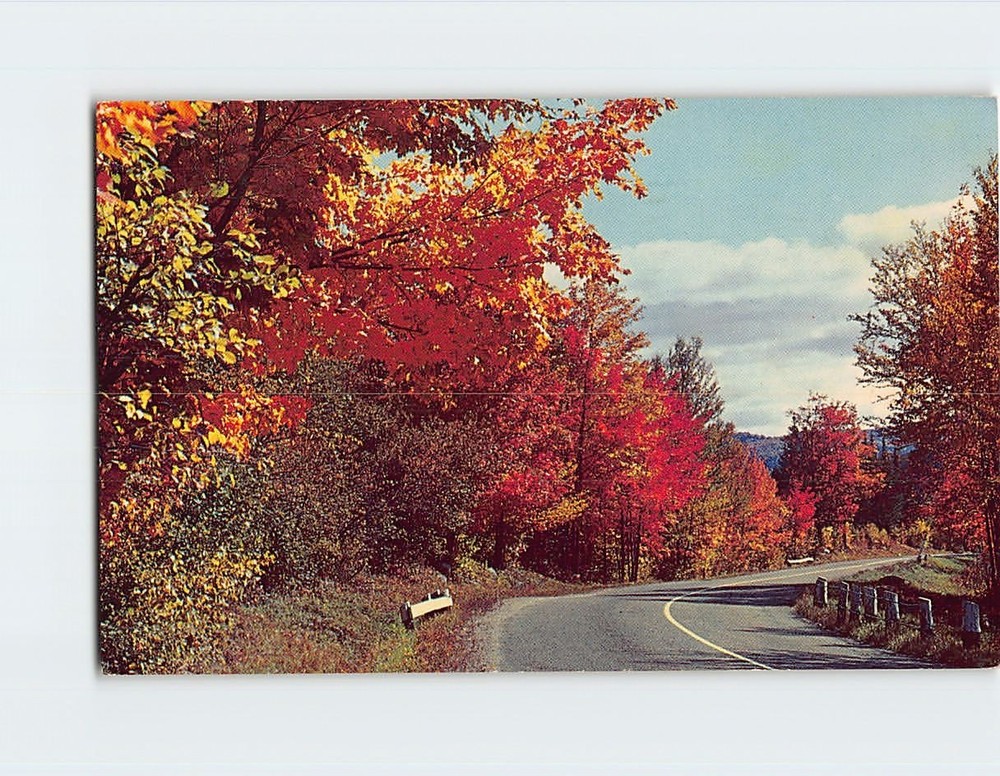 Postcard Autumn Country Road Nature Scene