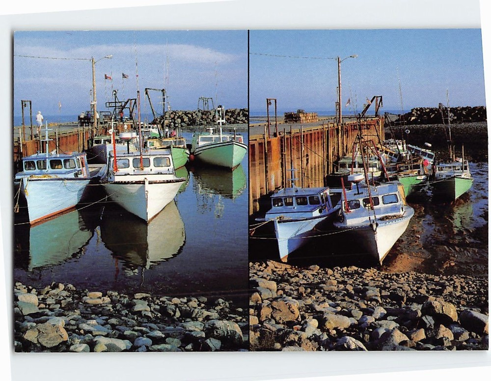 Postcard High Tide & Low Tide Alma Wharf in Alma New Brunswick Canada