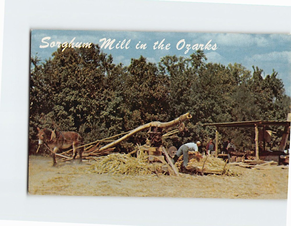 Postcard Sorghum Mill in the Ozarks USA