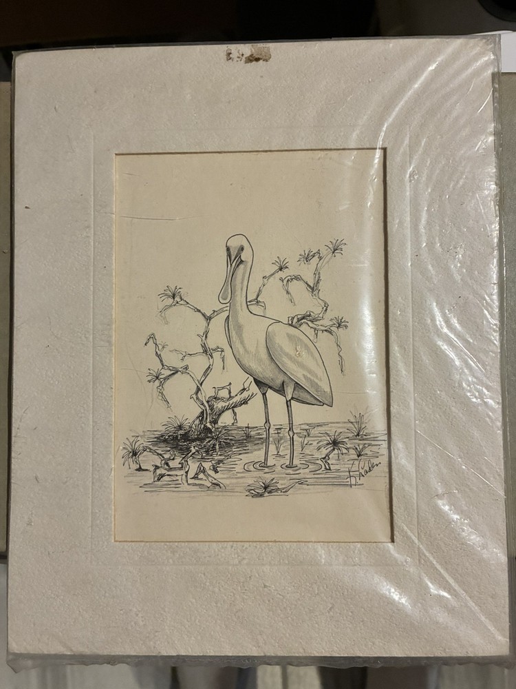 Original Signed Etching Jeff Laden Pelican Limited Edition American Artists
