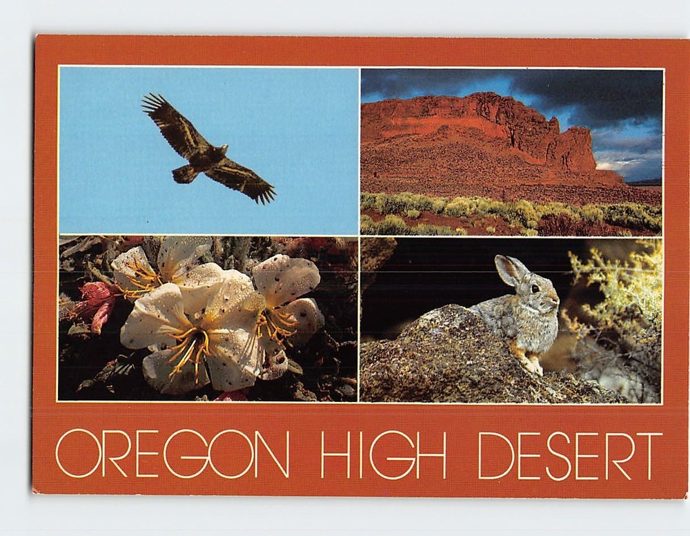 Postcard Oregon High Desert Oregon USA