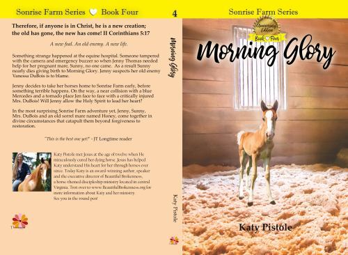 Morning Glory, Like New Used, Free shipping in the US