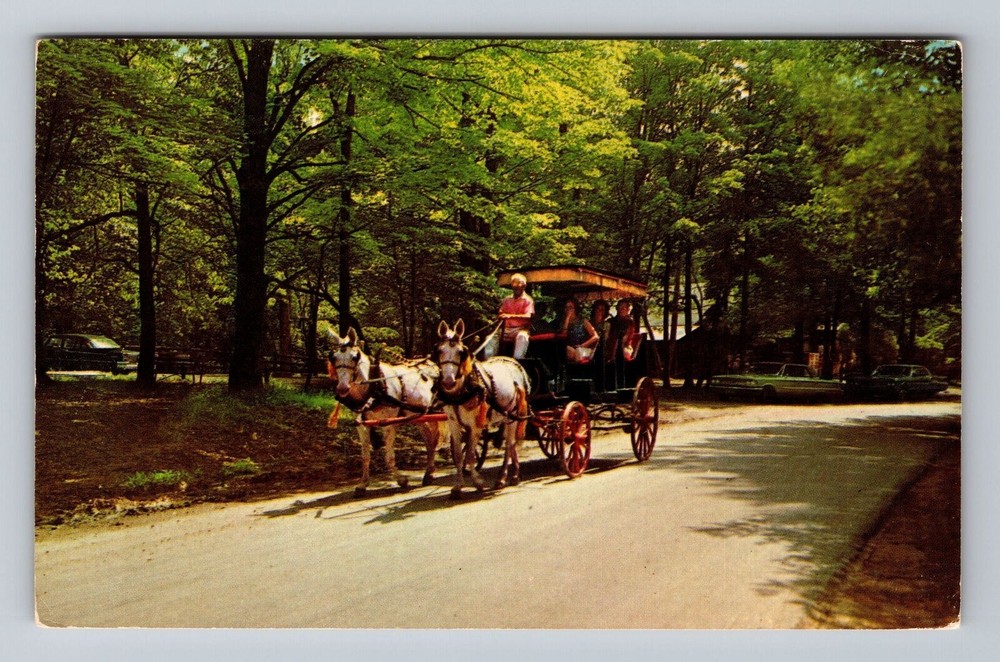 Indiana IN Spencer Surrey Riding McCormick's Creek State Park Vintage Postcard