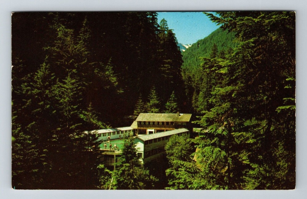 WA-Washington, Olympic Hot Springs, Scenic Forest View, Vintage Postcard