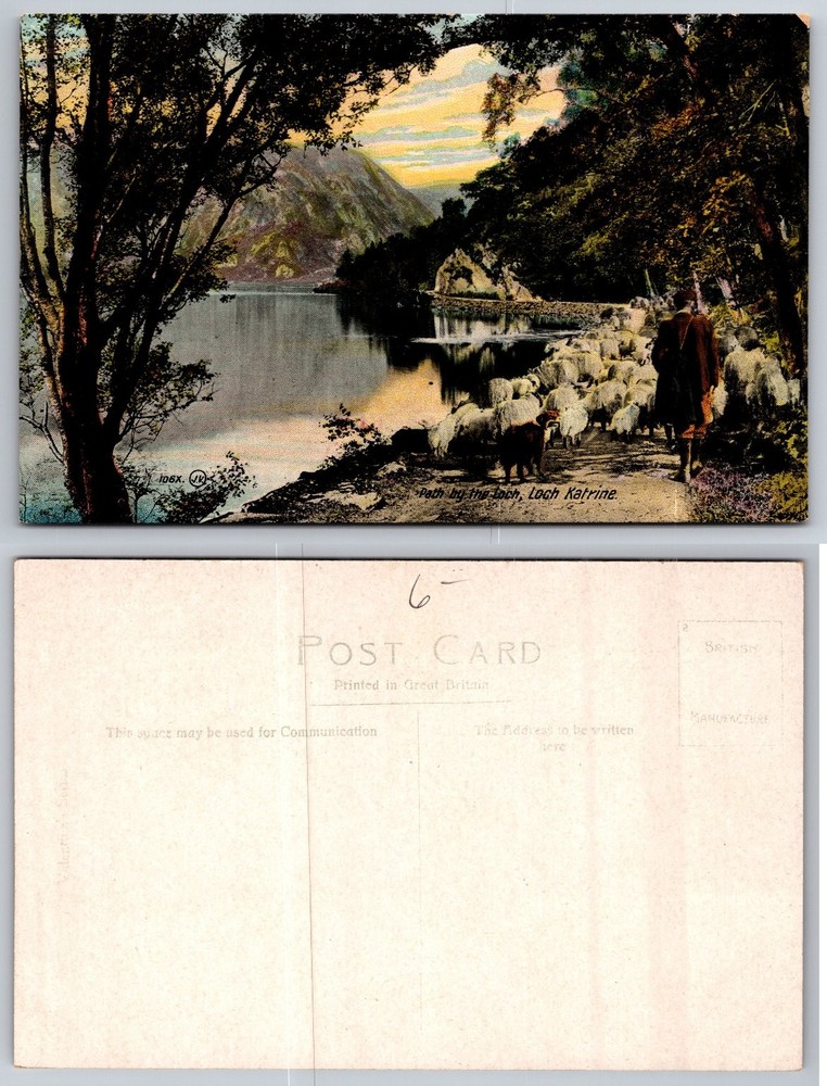 Vintage Loch Katrine Scotland Postcard Path by the Loch Shepherd & Sheep