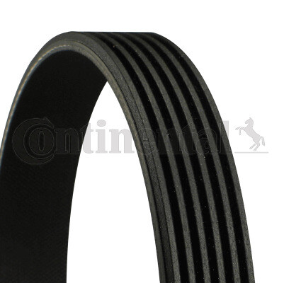 6 Rib Multi V Drive Belt 6PK1059ELAST Continental 4M5Q6C301HC 4M5Q6C301JA New