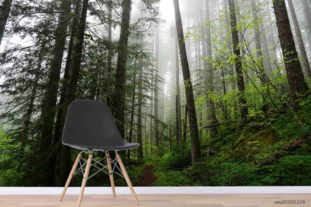 3D Forest Mist Path Landscape Wall Murals Wallpaper Murals Wall Sticker
