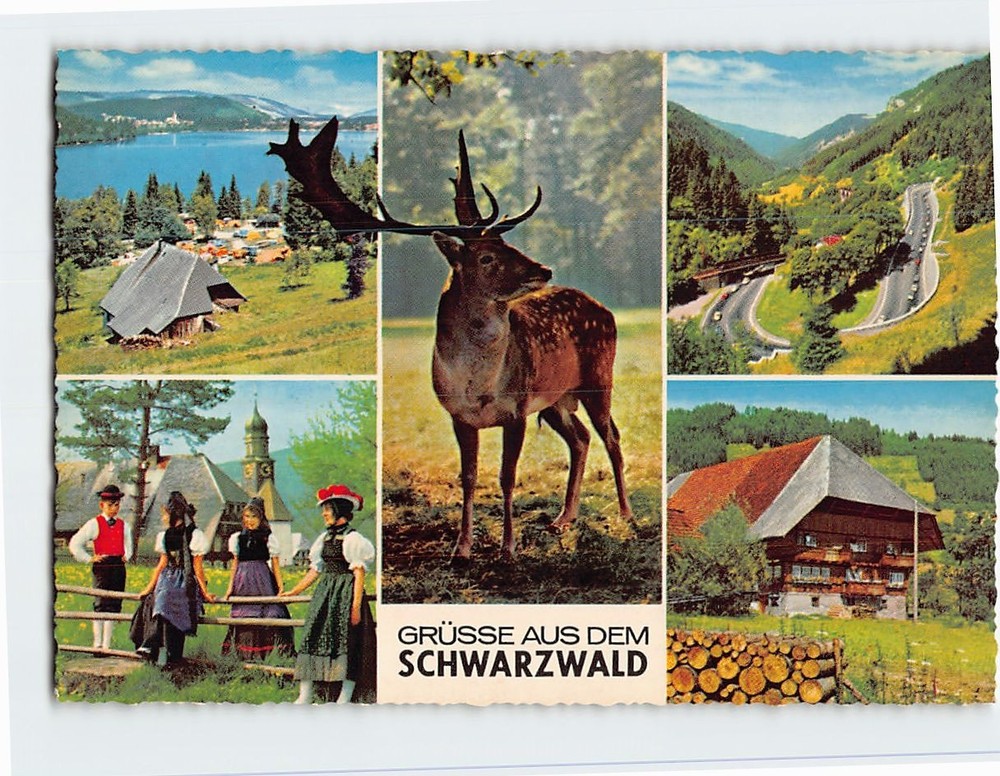 Postcard Scenes & Views Greetings from the Black Forest Germany