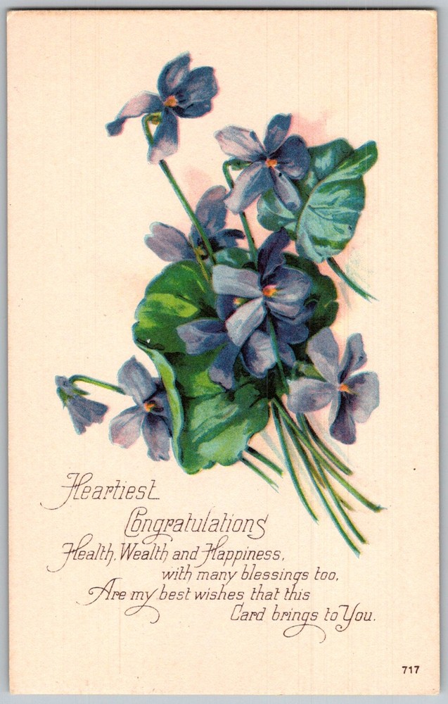 Antique Postcard Violet Bouquet Illustration 1910s