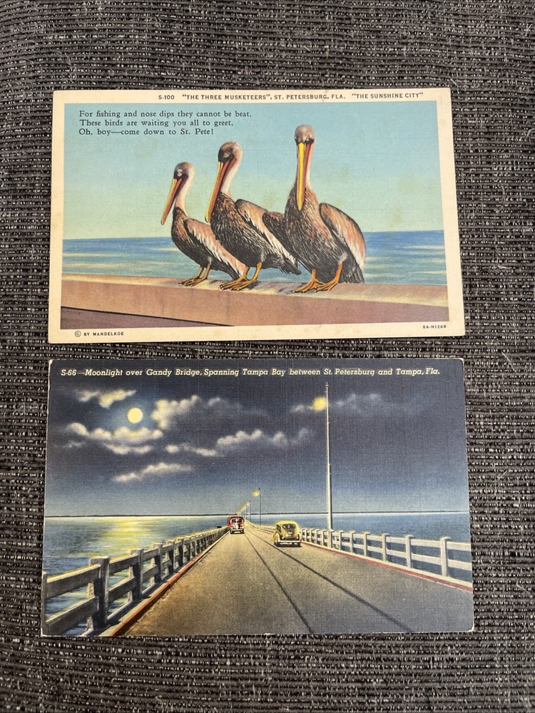 Vintage Linen Postcards St. Petersburg, FL~Moonlit Gandy Bridge & Three Pelicans