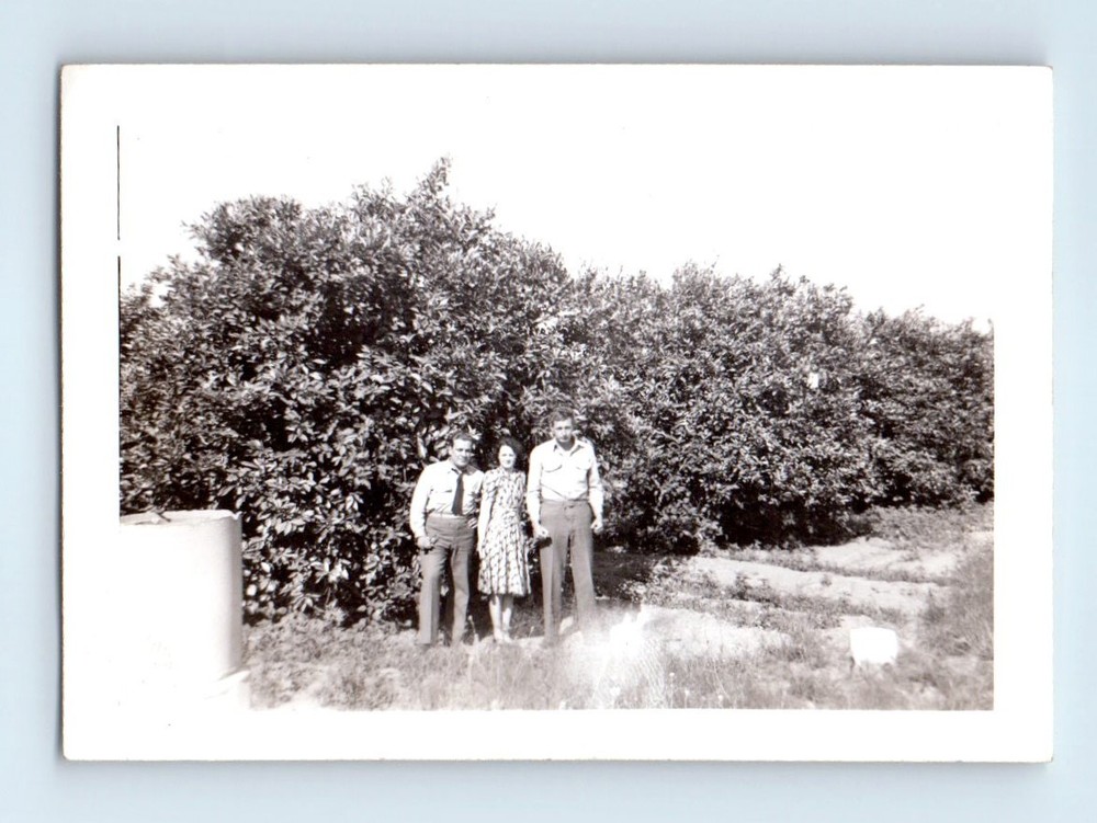Old Vintage Photo MEN WOMAN TRIO IN ORCHARD GROVE ORIGINAL SNAPSHOT PICTURE