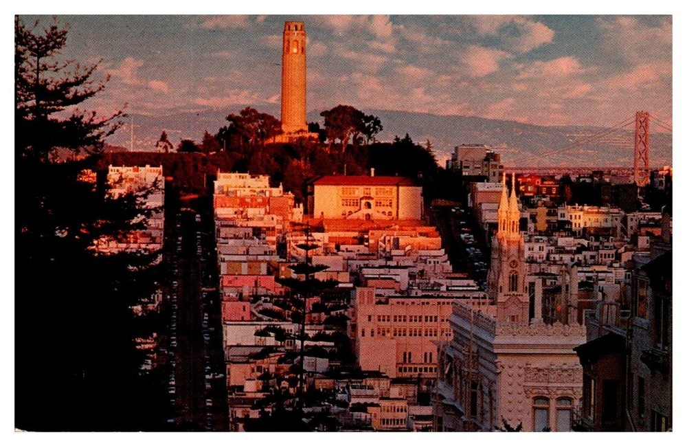 1950s Coit Tower On Telegraph Hill San Francisco California Vintage Postcard