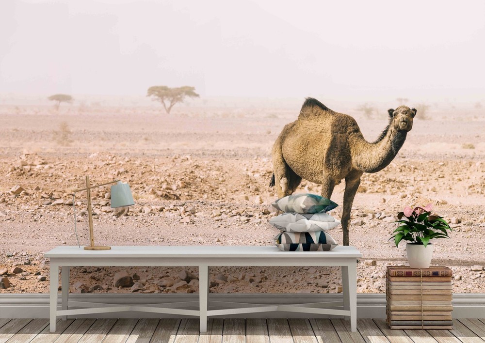 3D Desert Camel Landscape Wall Murals Wallpaper Murals Wall Sticker
