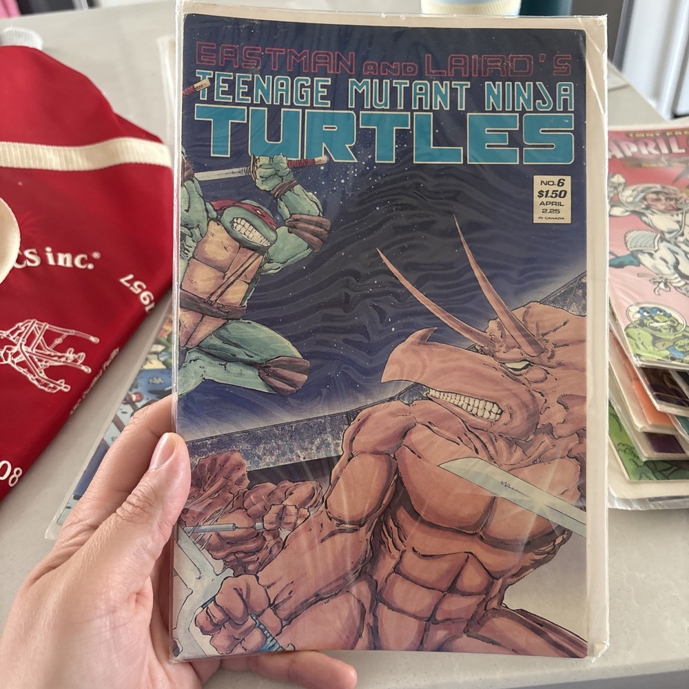 Teenage Mutant Ninja Turtles (1st Series) #6 (2nd) FN; Mirage | Eastman Laird -