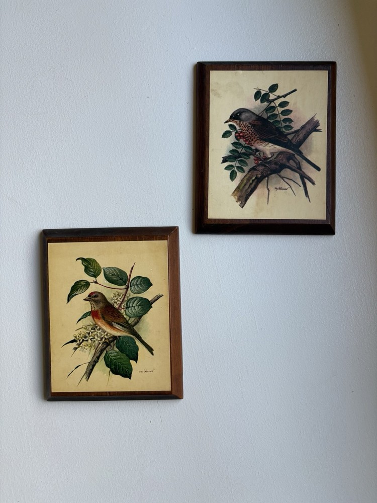 Set Of 2 Gommer Bird Print Lithographs