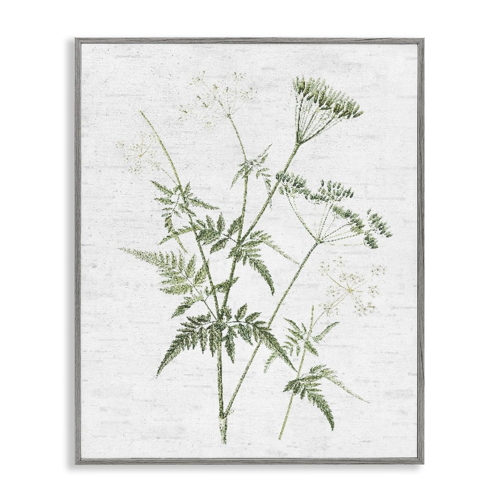Soft Blooming Bud Framed Giclee Art Design by Lettered and Lined
