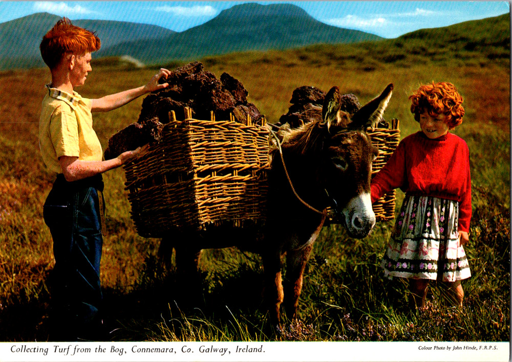 Vintage Postcard Collecting Turf Connemara County Galway Ireland Boglands