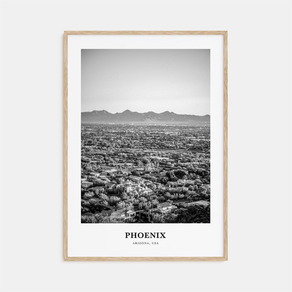 Phoenix Wall Art No 1 Phoenix Wall Decor Phoenix Poster Phoenix Home Decor