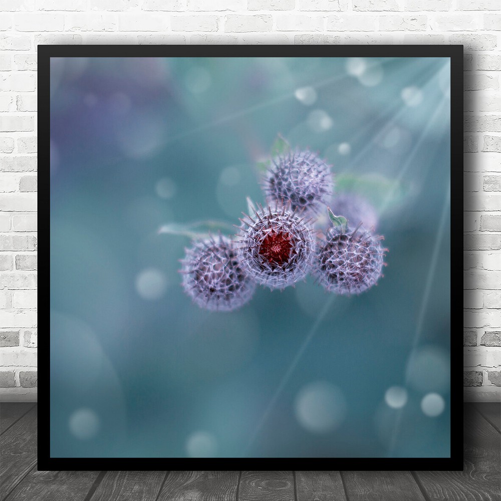 Macro Flowers Purple Creative Edit Virus Disease Flower Flora Square Art Print