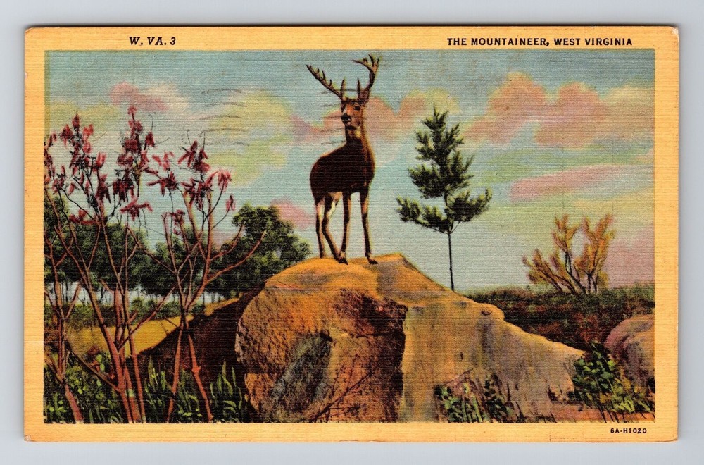WV-West Virginia, The Mountaineer, Deer on Rocks, Vintage Postcard