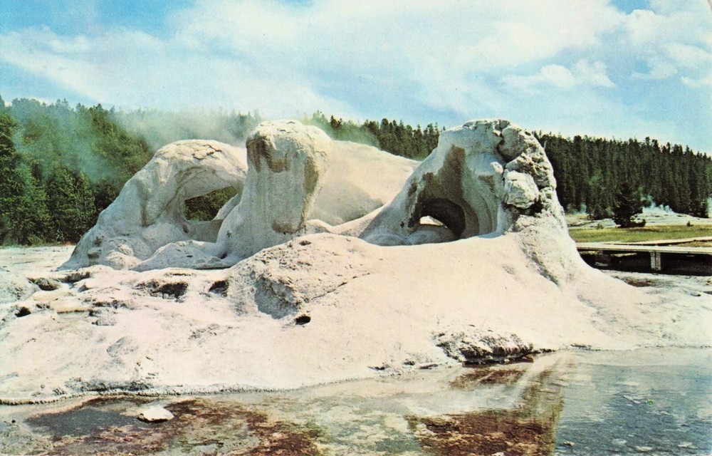 Grotto Geyser - Yellowstone National Park Wyoming WY - Postcard