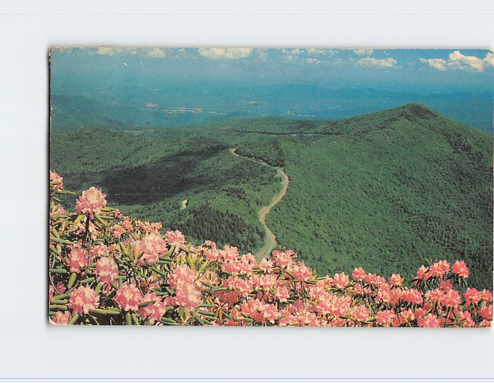 Postcard View from Potato Knob Blue Ridge Parkway North Carolina USA
