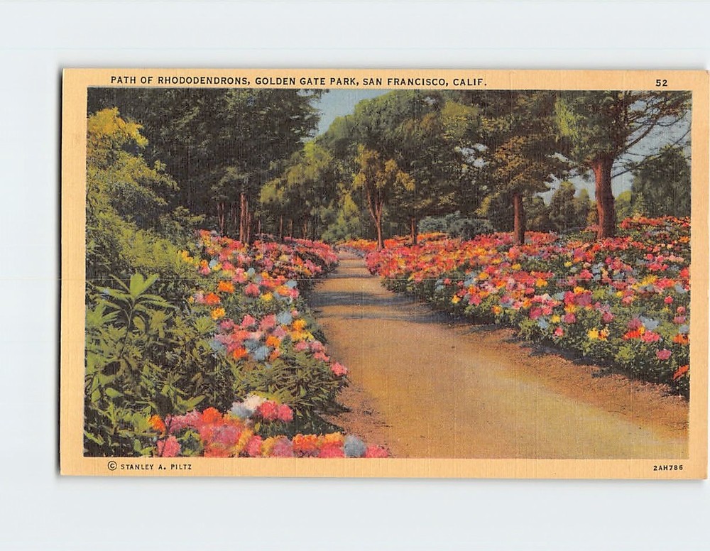 Postcard Path of Rhododendrons Golden Gate Park San Francisco California USA