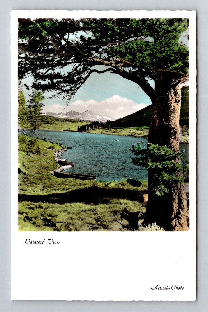 La Jolla, CA-California, Painters’ View Lake Boats Trees Vista Vintage Postcard