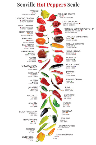 Scovill Hot Peppers Scale , Chilli Capsicum Knowledge Posters Nature Plant