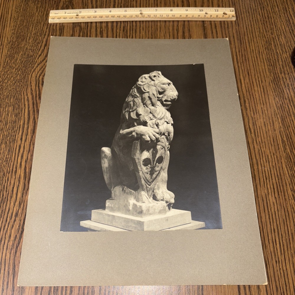 Vintage Donatello Marzocco Italian Sculpture Mounted Photo Florence Museum