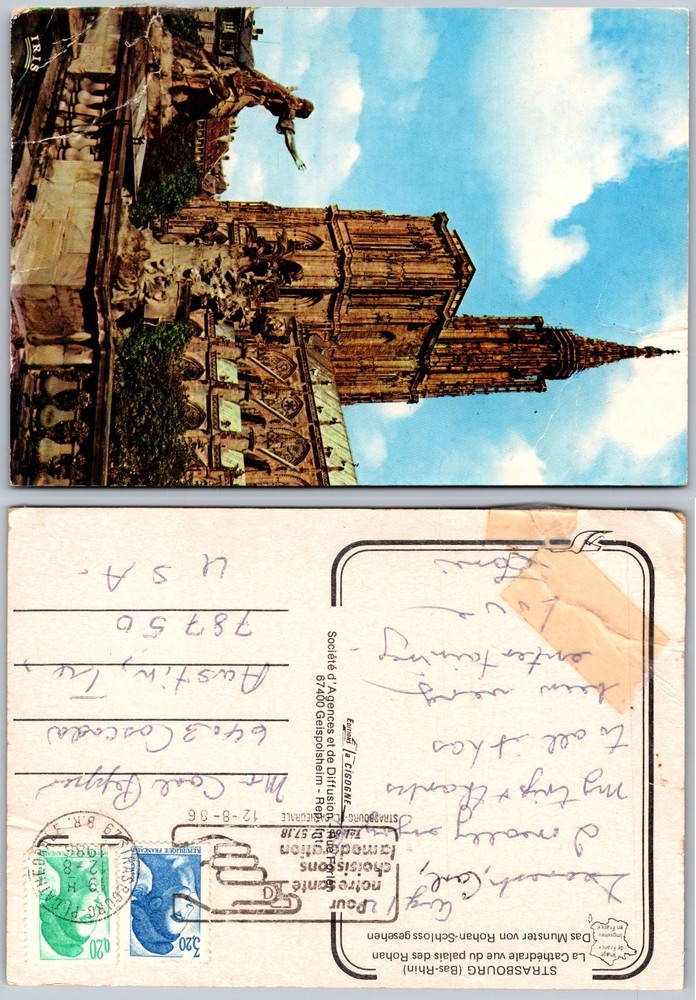 Continental Strasbourg Cathedral Postcard